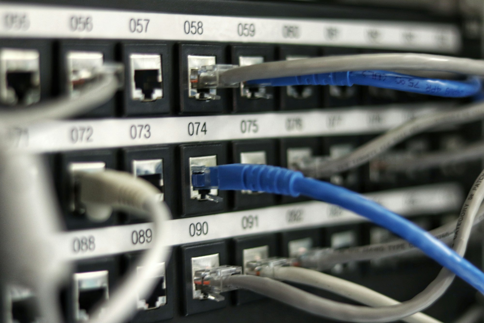 Shelves of servers with dense blue and white networking cables.