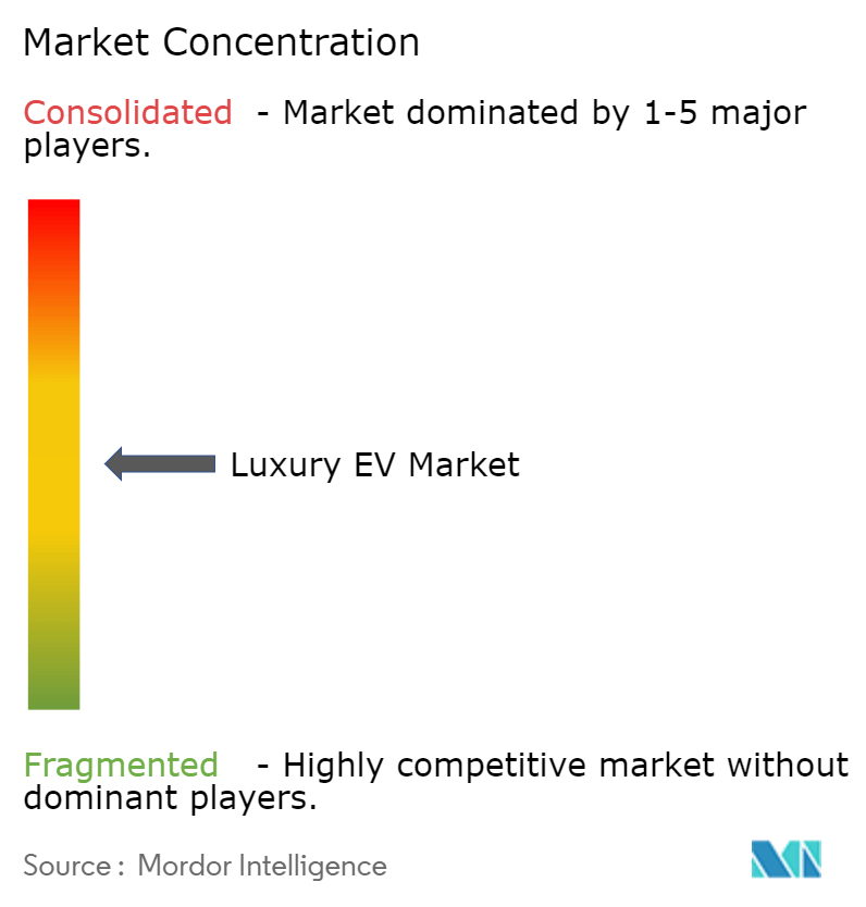 A table or chart listing major players in the luxury EV market including BMW, Mercedes-Benz, and Tesla.